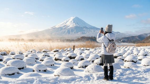 1-Day Tour of Fuji's Top 6 Autumn Foliage Spots: Lake Kawaguchi · Lake Yamanaka · Lawson · Hikawa Clock Shop