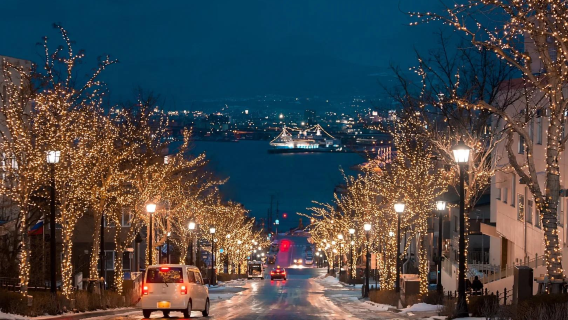 Japan Hokkaido Sapporo Hakodate Yunokawa Onsen Day/Night Express bus Electronic Ticket