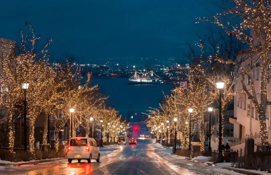日本北海道札幌函館湯之川温泉日間/夜間高速巴士電子票