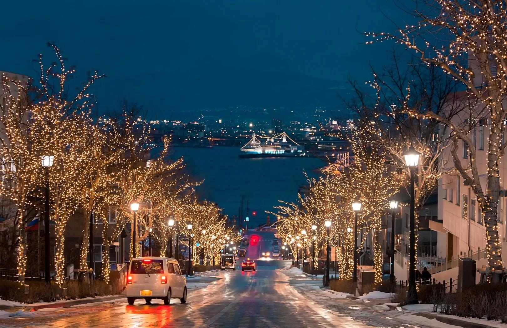 Japan Hokkaido Sapporo Hakodate Yunokawa Onsen Daytime/Nighttime Express Bus E-ticket