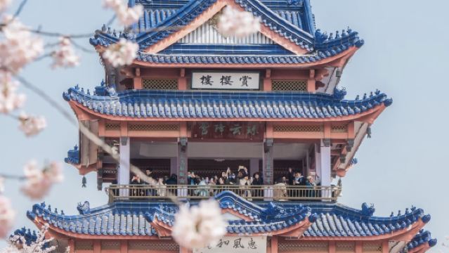 無錫靈山勝境+黿頭渚+太湖仙島 觀海鷗純玩無購物跟團一日遊