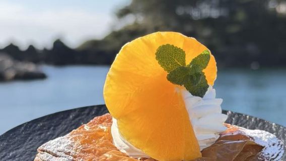 山茶花+柱狀節理帶+天地淵+橘子咖啡一日遊【景點可調|包車遊】