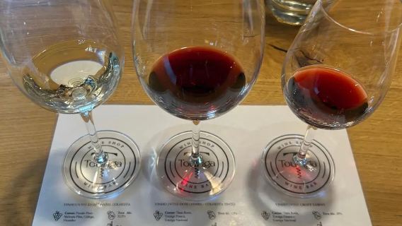 From Porto: Douro Valley Cruise & Wine Tasting Day Tour with Lunch