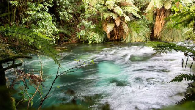 Lawatan sehari sewaan peribadi di sekitar Tasik Taupo | Nikmati pemandangan Huka Falls, Blue Spring dan pemandangan tasik sekaligus