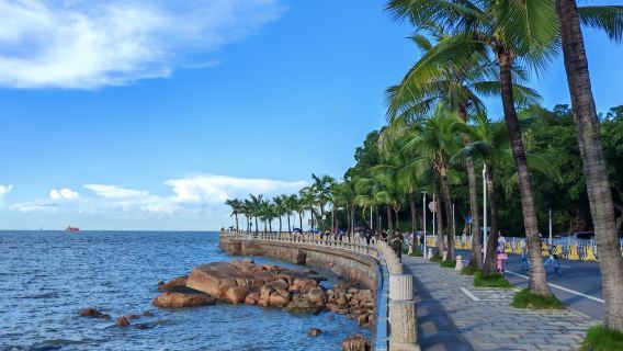 Départ de Shenzhen : Excursion d'une journée classique à Zhuhai (Aller-retour en voiture privée)