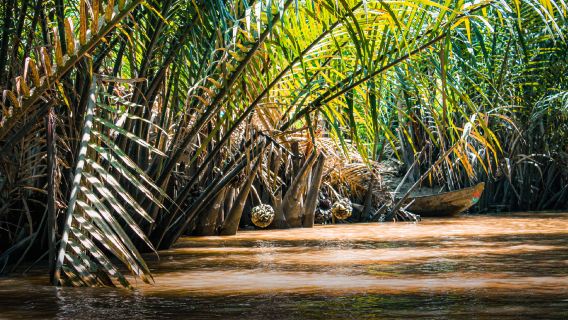 Upper Mekong River Full Day (My Tho - Ben Tre)