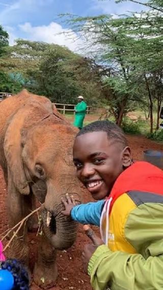 Nairobi Elephant Orphanage + Giraffe Centre + Karen Blixen Museum Half-Day Tour (Minimum 1 Person)
