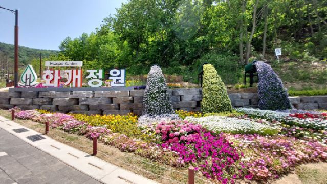 Frühlings-Spezial: Eintägige Blumen- und Kirschblüten-Tour in Incheon, Korea B-1