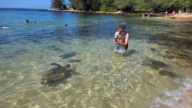 Oahu Circle Island Tour with Turtle Snorkeling— Small-Groups 