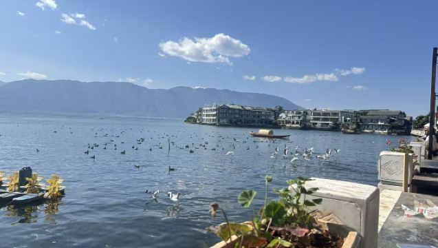 Dali Erhai Lake Private Charter 1-Day Tour - Visit China's Version of Santorini~ | Complimentary Afternoon Tea Experience