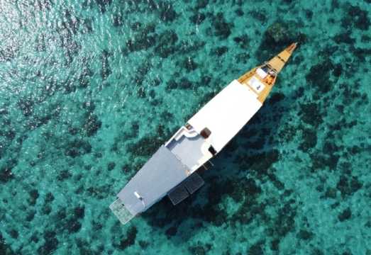 Komodo Tour Open Trip (Sharing or Private Room)