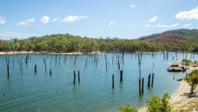 澳洲凱恩斯鴨嘴獸夜遊