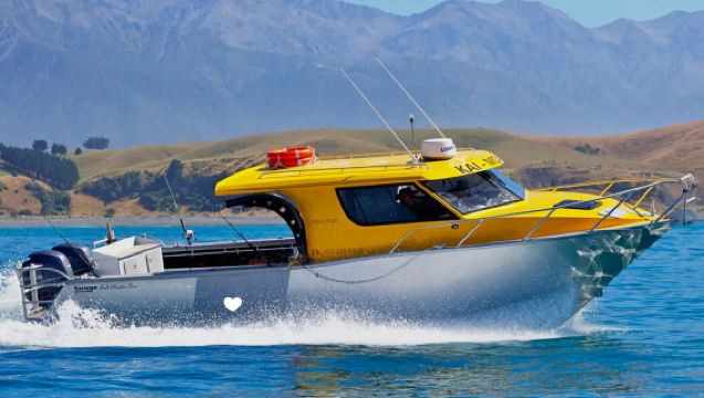 Kaikoura Deep Sea Fishing with Captain Ian in New Zealand's South Island [Local experienced captain leads fishing trips, catch giant crayfish]