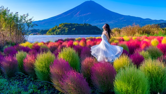 東京発|富士山定番コース 河口湖(抹茶体験付き)+忍野八海+インスタ映えスポット 日帰りツアー by ジャパンホリデートラベル