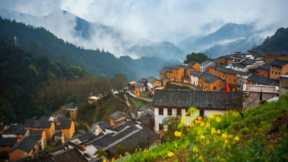 Anhui Huangshan: Huizhou Altstadt + Yangcang Tulou + Shitan Dorf | Mehrsprachiger Reiseleiter (u.a. Chinesisch/Englisch) | Privattransfer nach Maß