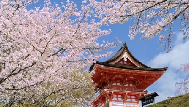 Kyoto 1 Day Golden Route Bus Tour