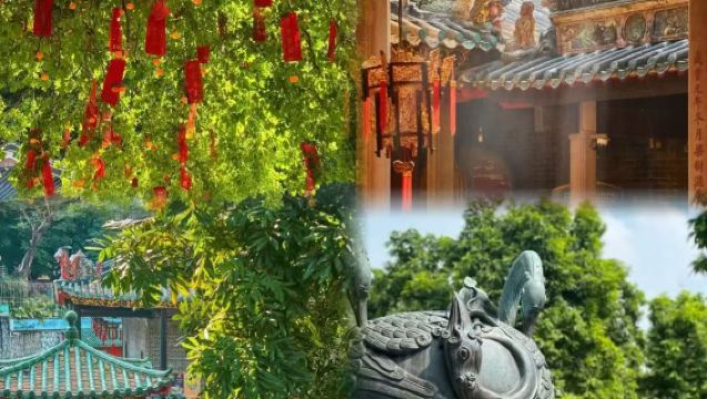 กว่างโจวไปกลับ: วัดบรรพบุรุษของเมืองฝอซาน~พิพิธภัณฑ์สวนชิงฮุย~เมืองน้ำเฝิงเจียน | การแสดงสิงโต--รสชาติจีนอันเป็นเอกลักษณ์