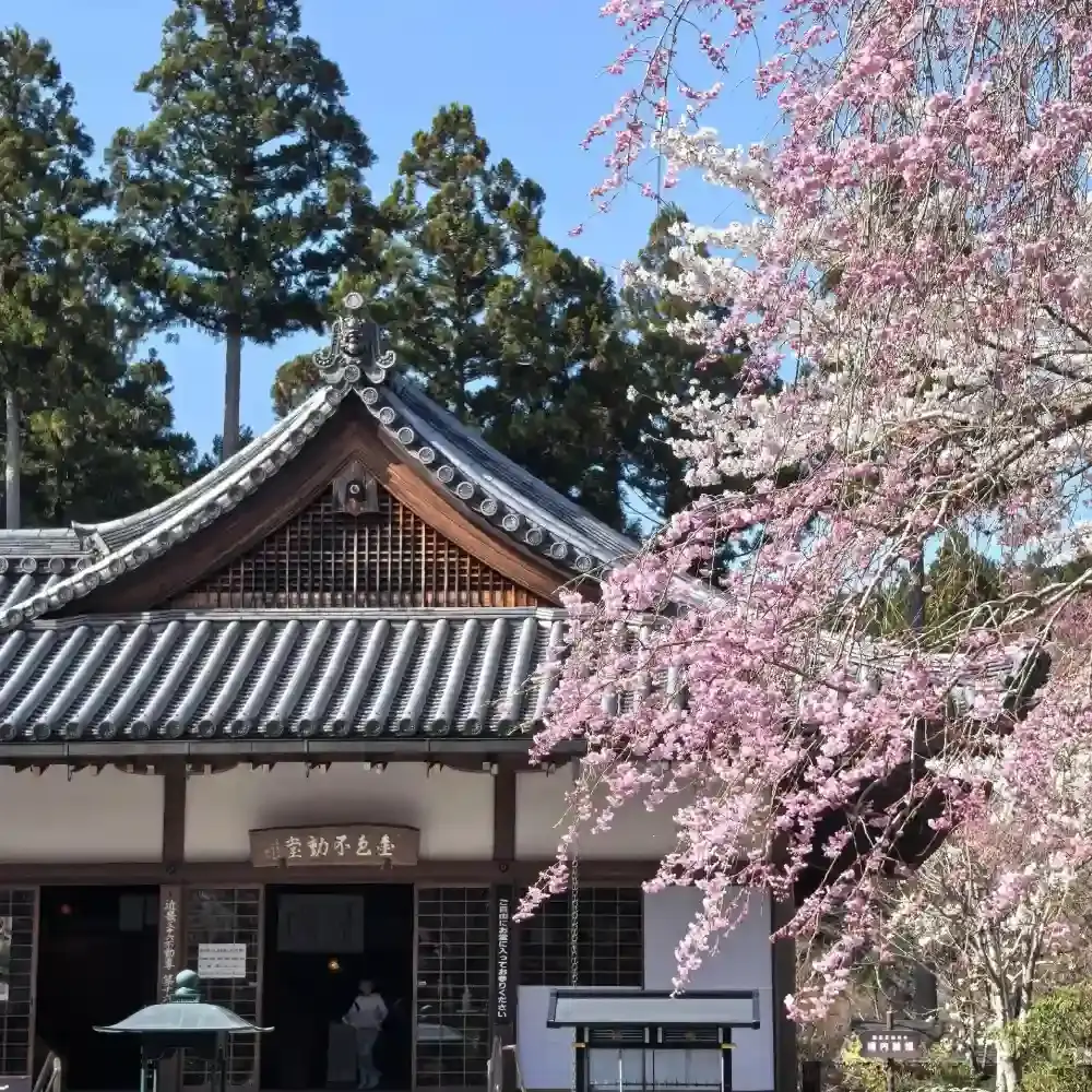 No.55 もみじ　苔　京鞍馬風平石 京都の深山古刹 苔庭で心静める旅：三千院＋貴船神社＋鞍馬寺＋鴨川