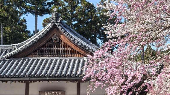 京都深山古剎 苔庭靜心之旅：三千院+貴船神社+鞍馬寺+鴨川
