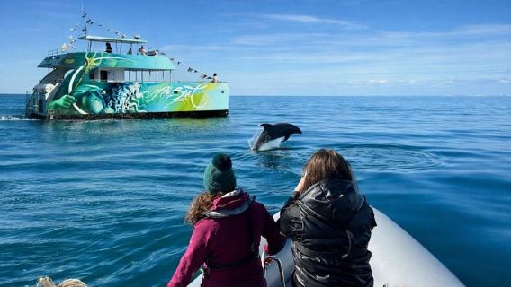 Pencarian Lumba-lumba dan Gua Benagil dari Albufeira