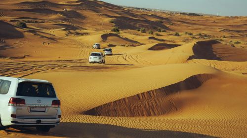 Dubai Desert Camp Experience: Standard Red Dune Desert Safari, Sand Boarding, and Buffet Dinner 2