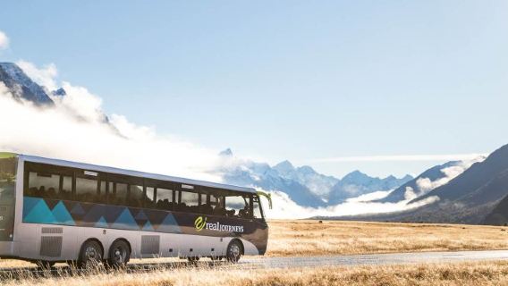 RealNZ conexão direta | Passeio de um dia no Fiorde Milford · Ônibus panorâmico + passeio de barco com opção de almoço