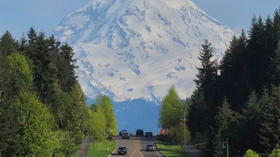 Amerika Syarikat Seattle - Taman Negara Gunung Rainier - Lawatan Sehari Sewaan Peribadi (Tidak Termasuk Tiket) - Fleksibel