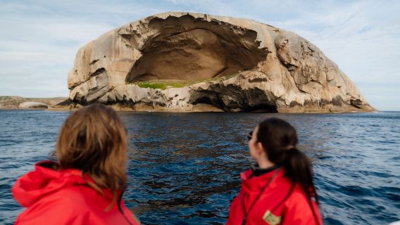 Однодневная экскурсия в Уилсонс Промонтори и круиз к Скале Черепа с [Explore Australia Tours]