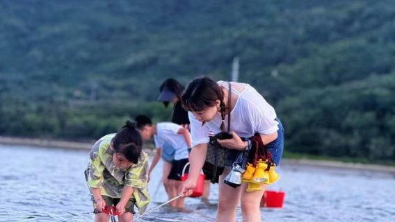 Pengalaman memungut hasil laut di tanah lembap hutan bakau "hutan laut" di Kampung Tonghai, Lingshui, Hainan (termasuk peralatan dan pemandu)
