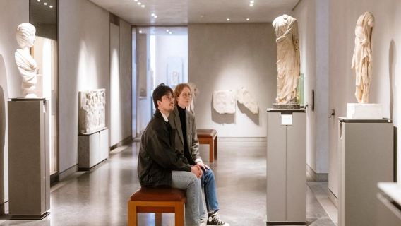 Fine Arts Museum - Ticket with City Audio Guide