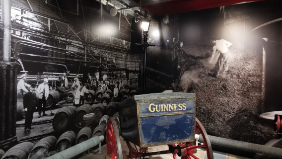 Ireland | Dublin - Kolej Trinity + Taman St. Stephen's Green - lawatan sehari - bergegas/ tidak termasuk tiket masuk