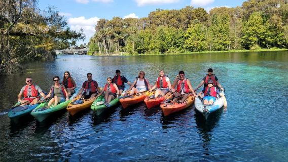 Silver Springs: 2-godzinne wypożyczenie kajaka lub paddleboarda