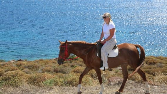 Bodrum: Horse Riding Experience with Forest or Seaside Route