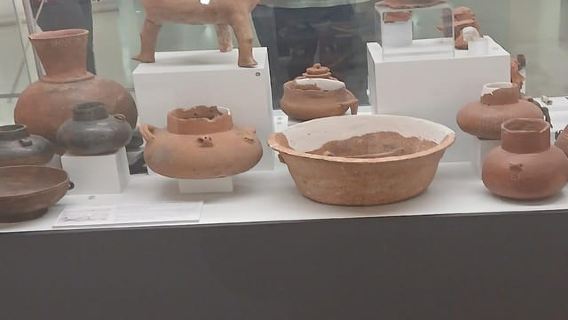 Addis Ababa: National Museum Guided Tour with Lucy Fossil