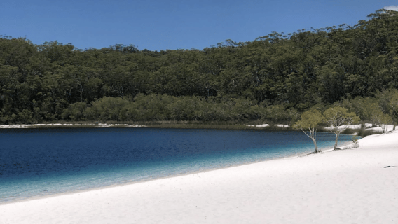 From Hervey Bay: K'gari Island Day Trip with Ferry & Lunch