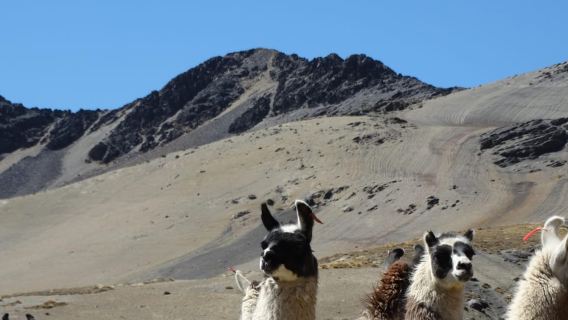 La Paz: Day tour 5000m ascent of Serranias Allminallis
