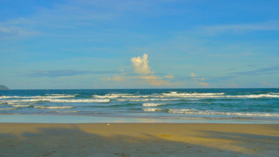 Vietnam Da Nang Da Nang Cathedral + Nui Son Tra + My Khe beach 1-day tour (admission ticket not included)
