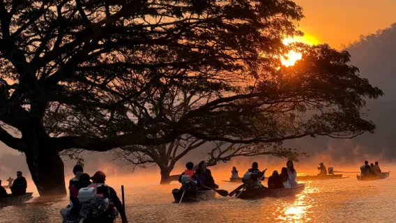 [◆Árbol de la Lluvia Centenario◆] Excursión de medio día a la Cascada Pegajosa de Chiang Mai + Árbol de la Lluvia Centenario