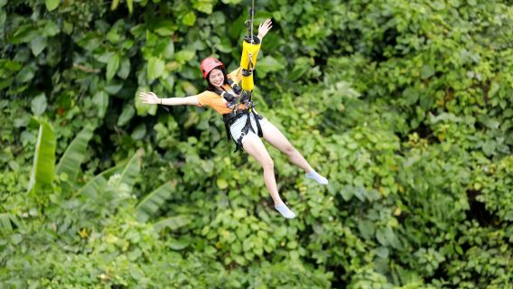 Danao Adventure Park, Colinas de Chocolate e Társios | Passeio Privado de um Dia por Bohol pela Happy Trails