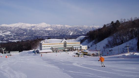 WhitePIA Takasu: Day trip plan with round-trip bus (departing from/arriving at Nagoya)