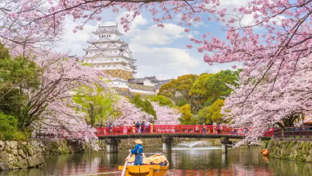 姬路城+好古園+有馬温泉鄉+六甲山一日遊【含餐】