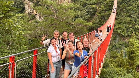 Corea del Sur: Visita guiada a la Zona Desmilitarizada y al Puente Colgante + Traslados