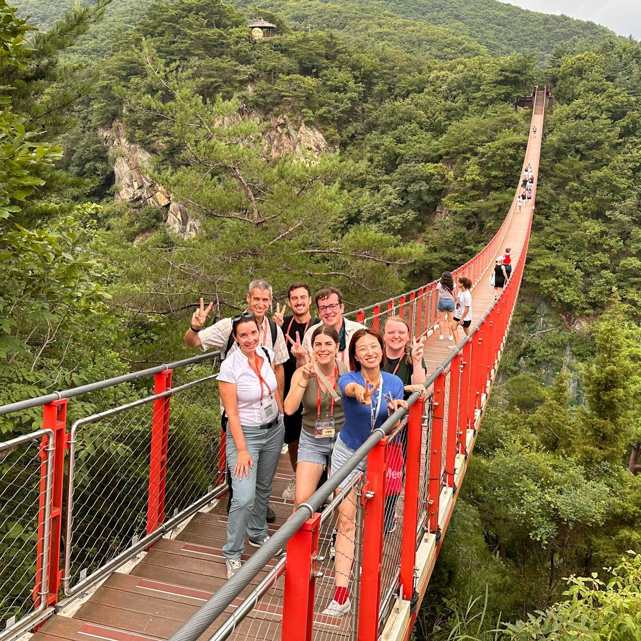 South Korea: Guided Demilitarized Zone & Suspension Bridge Tour + Transfers