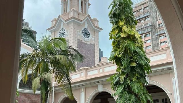 香港大學 中文大學人工講解導覽 在校學生帶隊介紹港大景點生活趣事