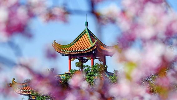 廣州日遊