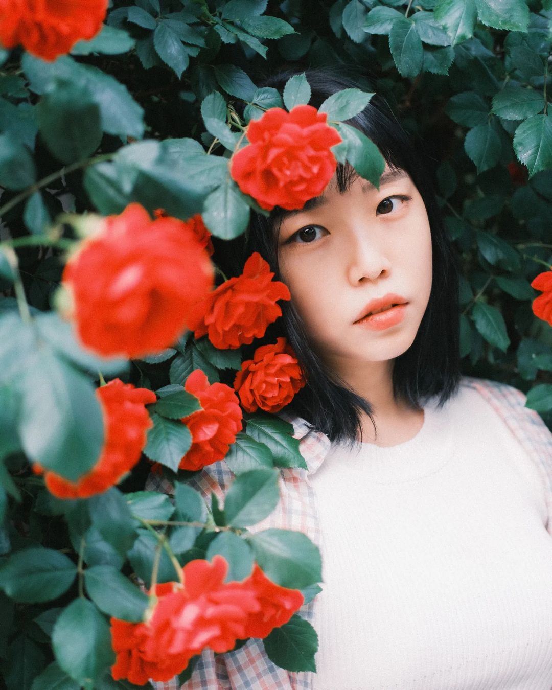 Baishan Travel Photography[Driver and guide + travel photography + wedding photos, aerial photography, micro-film + makeup and clothing + itinerary customization ]