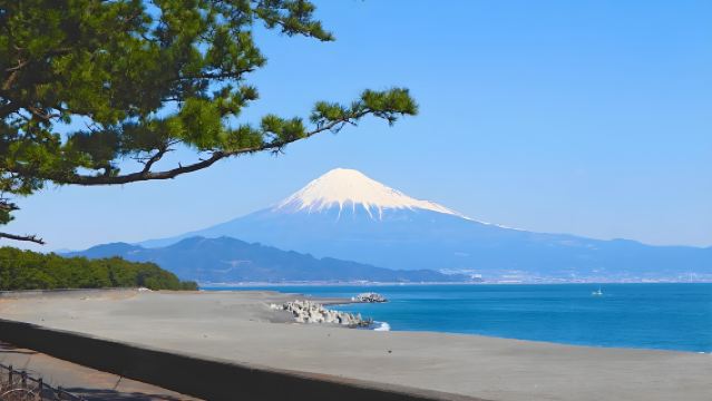 Taman Maruko Chan Shizuoka Jepun + Miho no Matsubara + Kuun Shrine Toshogu + Taman Istana Sunpu