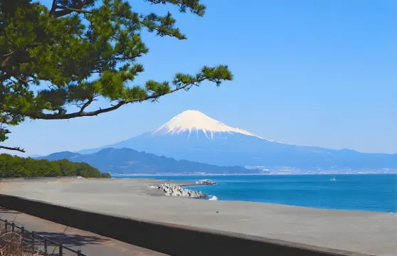 日本靜岡櫻桃小丸子樂園+三保之松原+久能山東照宮+駿府城公園