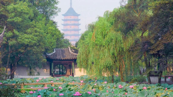 蘇州旅行服務