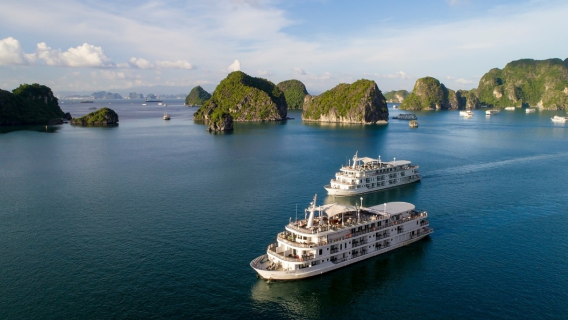 однодневный тур по бухте Халонг из Ханоя|Трансфер включен, обед включен|англоязычный гид